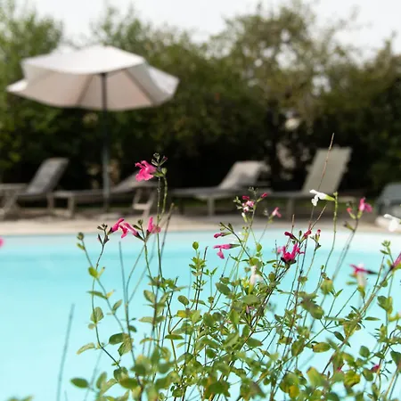 Couette-café La Jolie Longère Fleurie Tiny House Avec Piscine Et Jardin