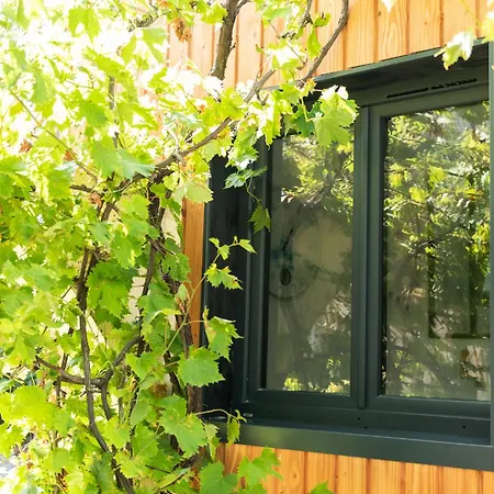 La Jolie Longère Fleurie Tiny House Avec Piscine Et Jardin 3* Le Gue-d'Allere